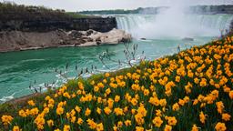 Niagara Şelalesi Otelleri