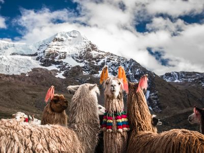 lima j chavez ulus lim ucus durumu