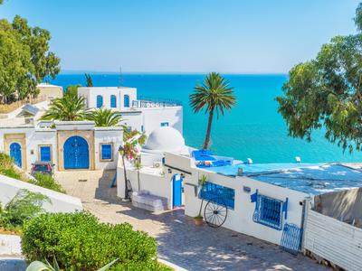 972 Den Baslayan Fiyatlarla Tunus A Uygun Fiyatli Ucuslar Kayak