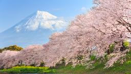 Japonya otelleri
