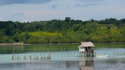Tagbilaran otelleri