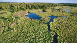 Everglades otelleri