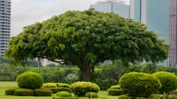 Haikou otelleri