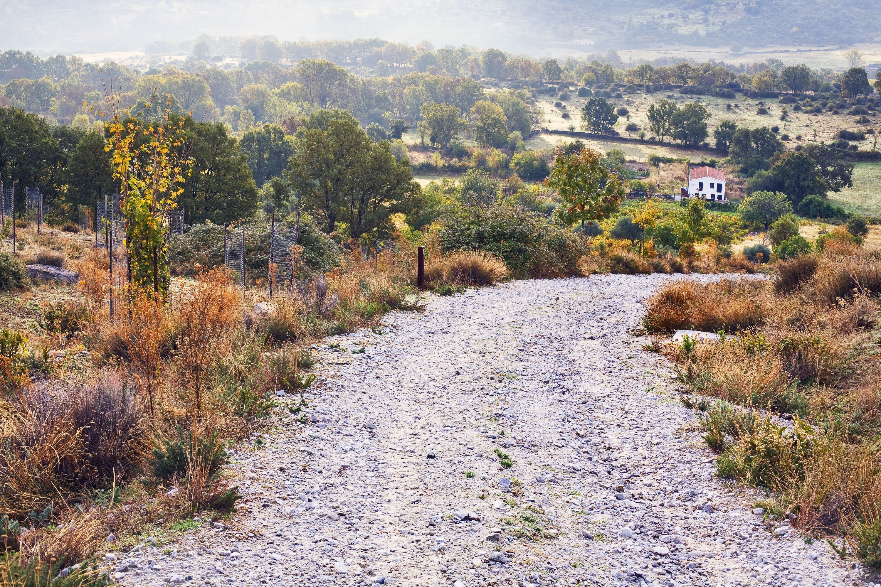 Las Rozas ara&ccedil; kiralama