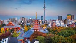 Ucuz Tokyo uçak bileti