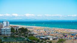 Bibione otelleri