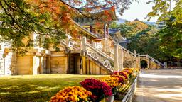 Gyeongju otelleri