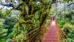 Arenal Volcano Milli Parki otelleri