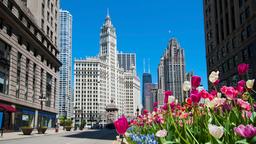 Chicago O'Hare Ulus. Havalimanı yakınındaki oteller