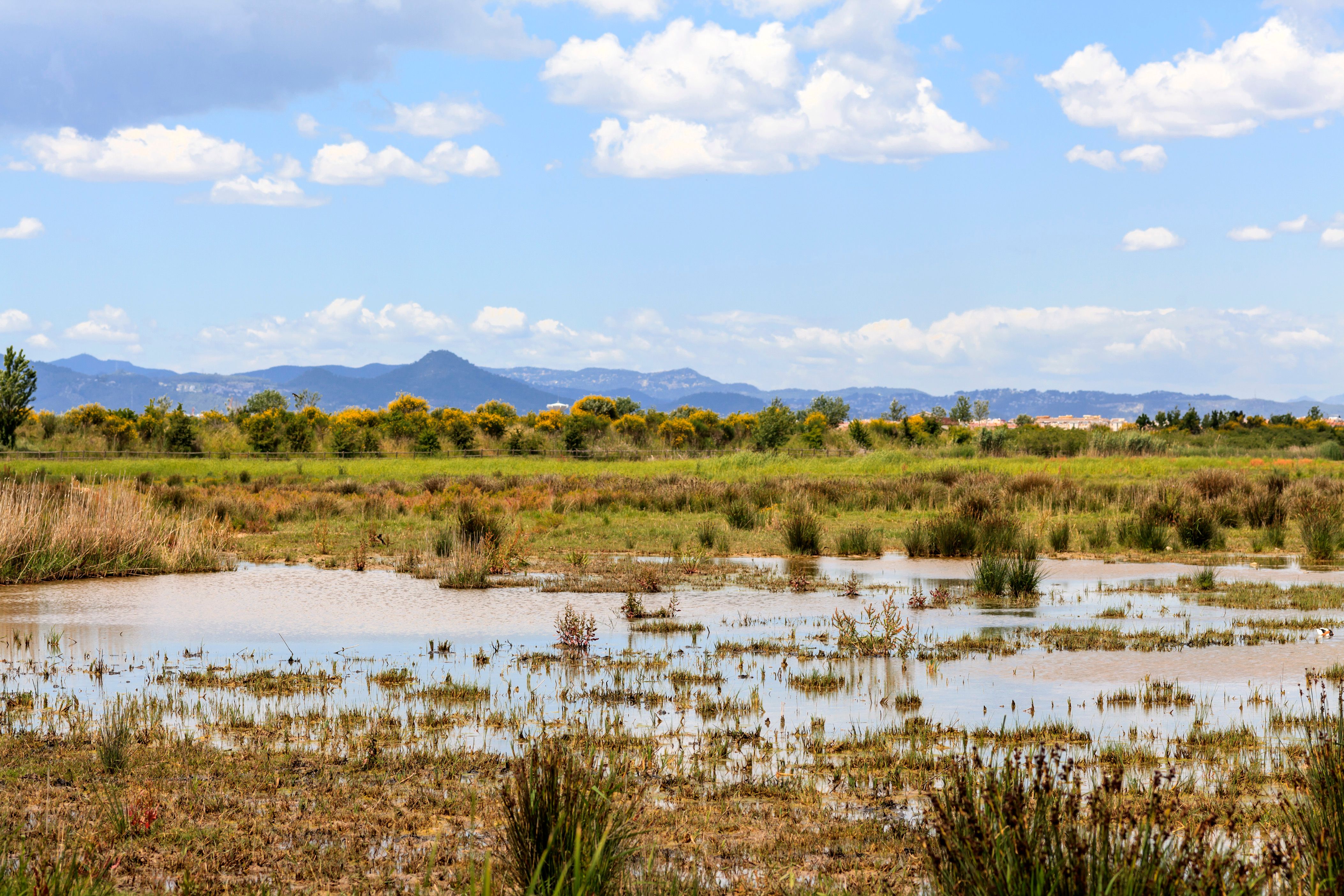 El Prat de Llobregat ara&ccedil; kiralama