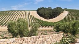 Paso Robles otelleri