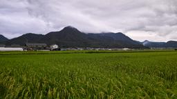 Ueda otelleri