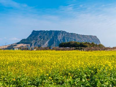 Jeju