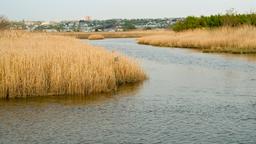 Secaucus otelleri