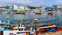 Jeju Adası kiralık tatil evleri