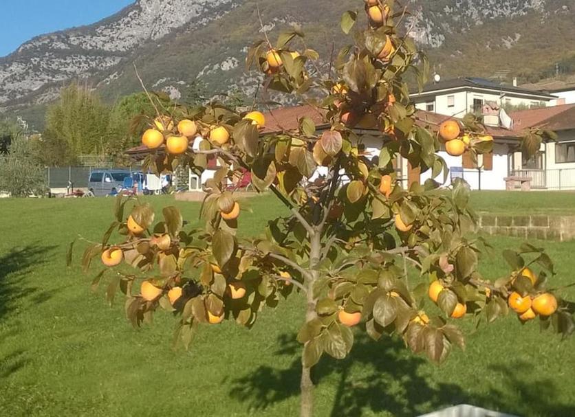 Dış görünüm Fotoğraf