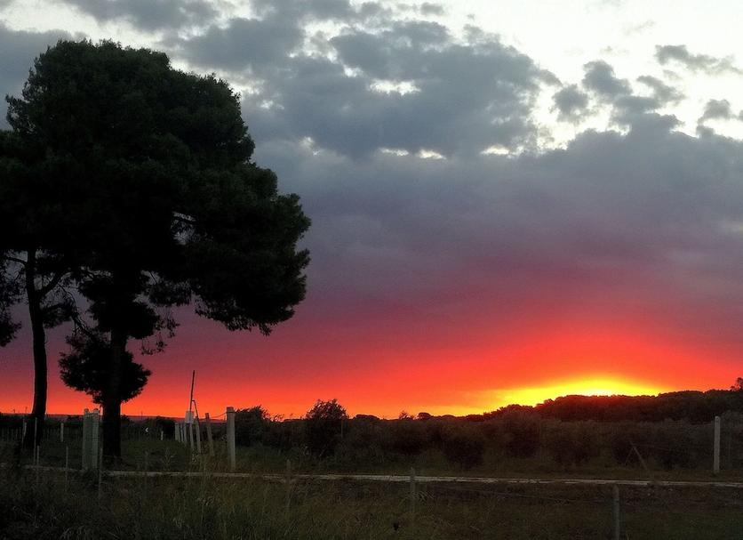 Dış görünüm Fotoğraf