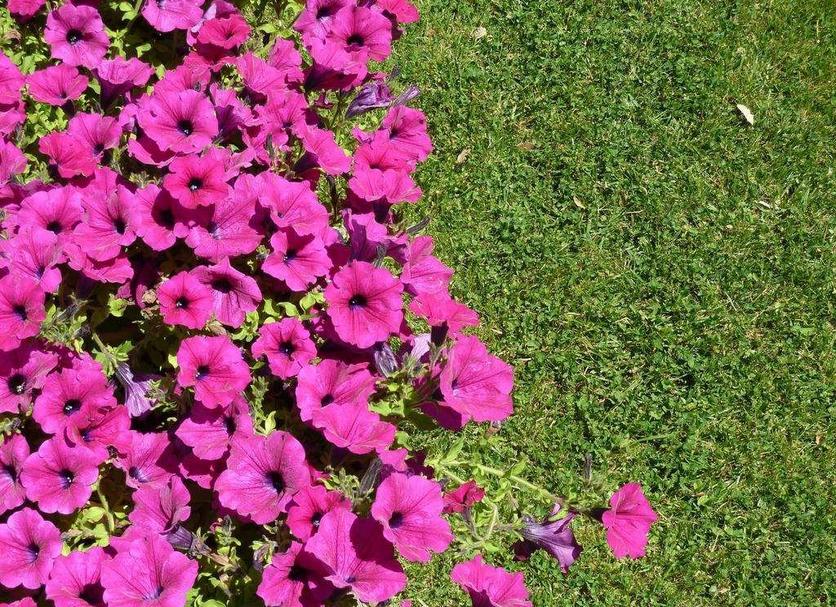 Dış görünüm Fotoğraf