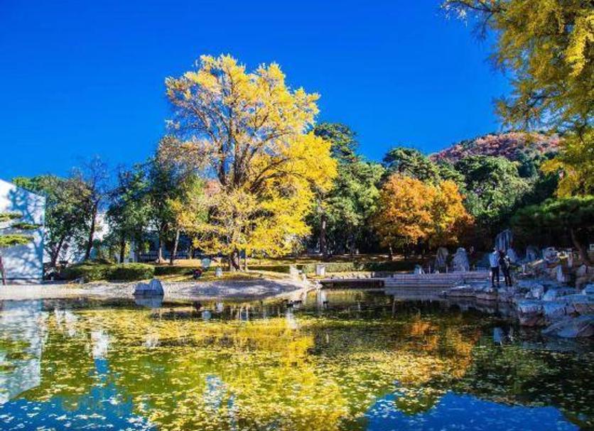 Dış görünüm Fotoğraf