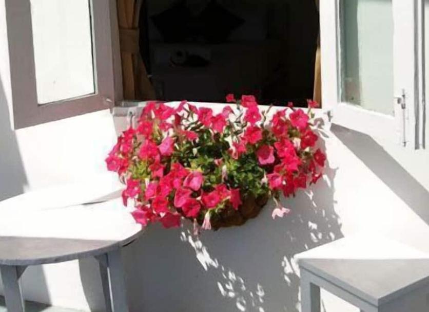Bina Fotoğraf