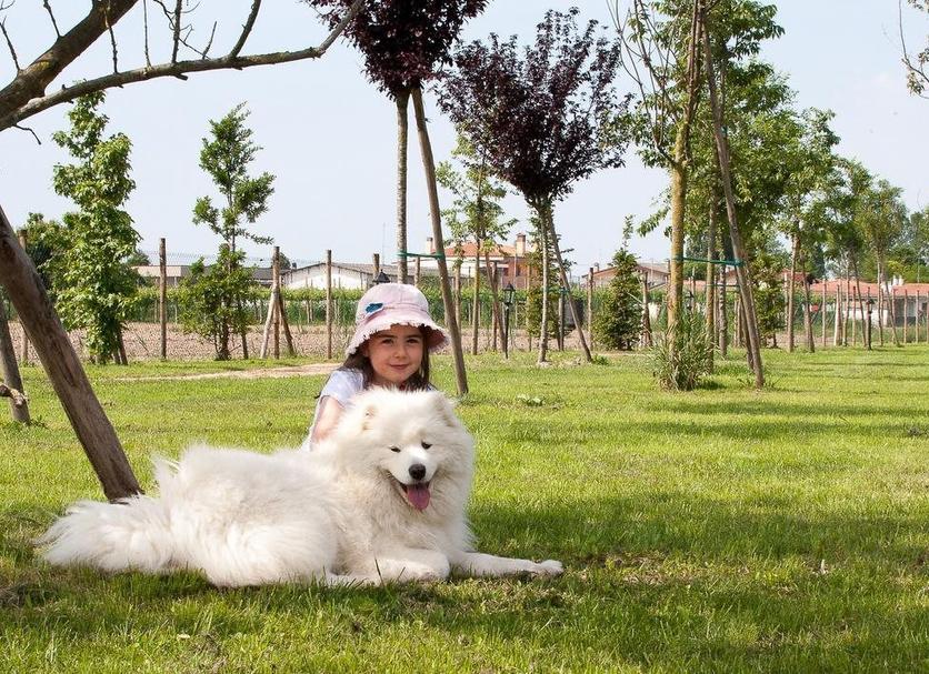 Diğer Fotoğraf