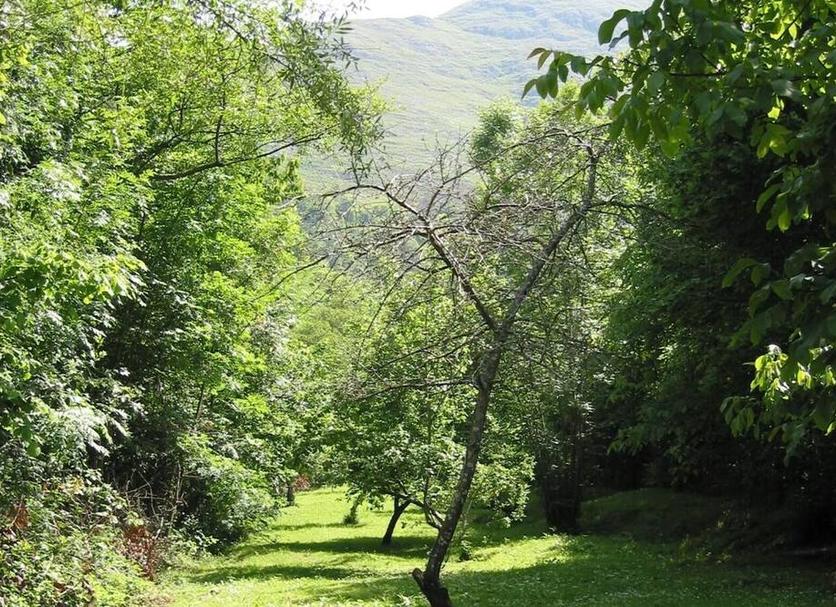 Dış görünüm Fotoğraf