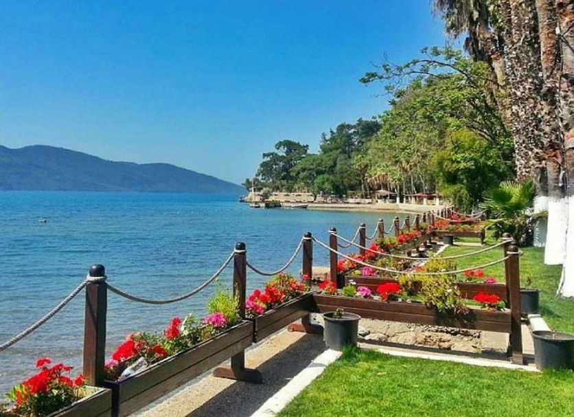 Diğer Fotoğraf