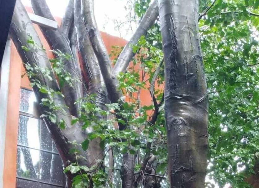 Dış görünüm Fotoğraf