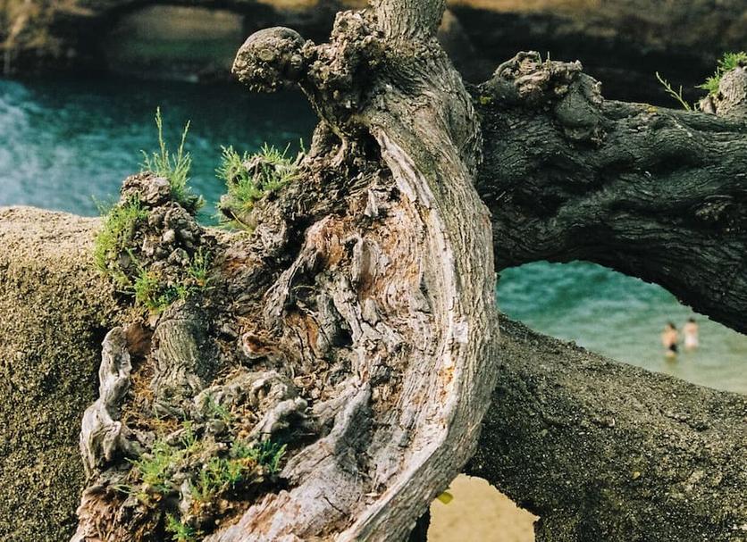 Diğer Fotoğraf