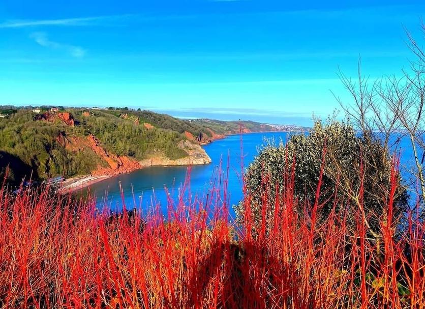 Dış görünüm Fotoğraf