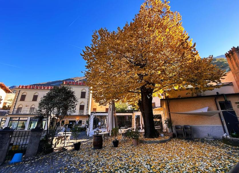 Bina Fotoğraf