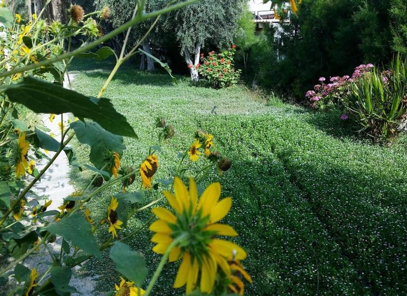 Dış görünüm Fotoğraf