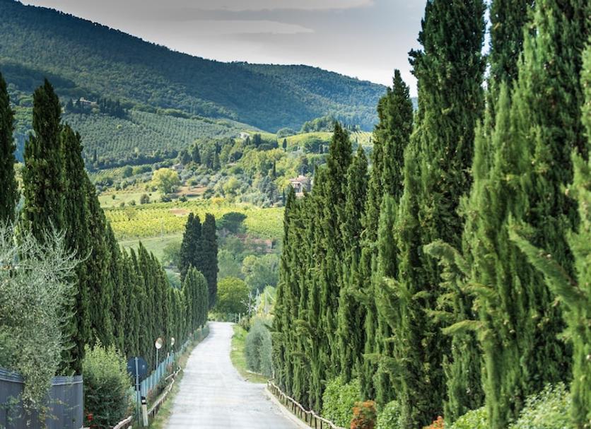 Dış görünüm Fotoğraf