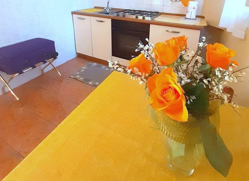 Diğer Fotoğraf