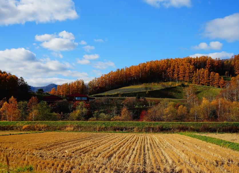 Dış görünüm Fotoğraf