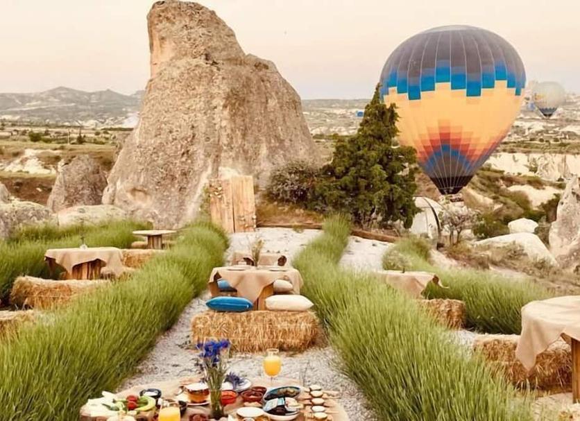 Diğer Fotoğraf