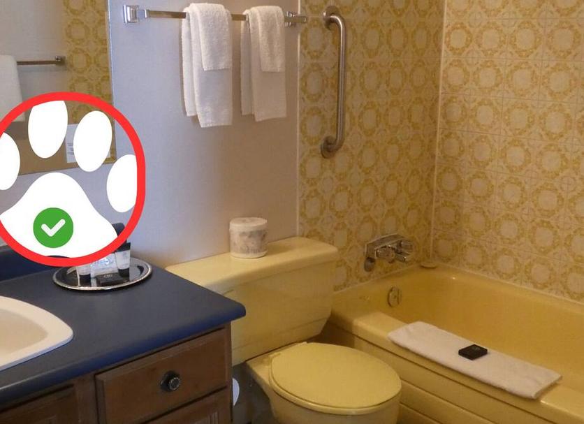 Banyo Fotoğraf