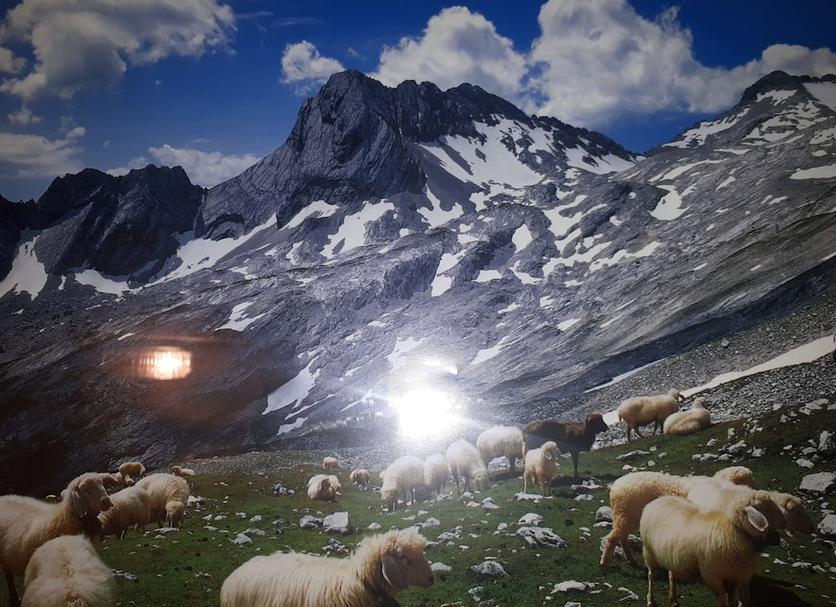 Diğer Fotoğraf