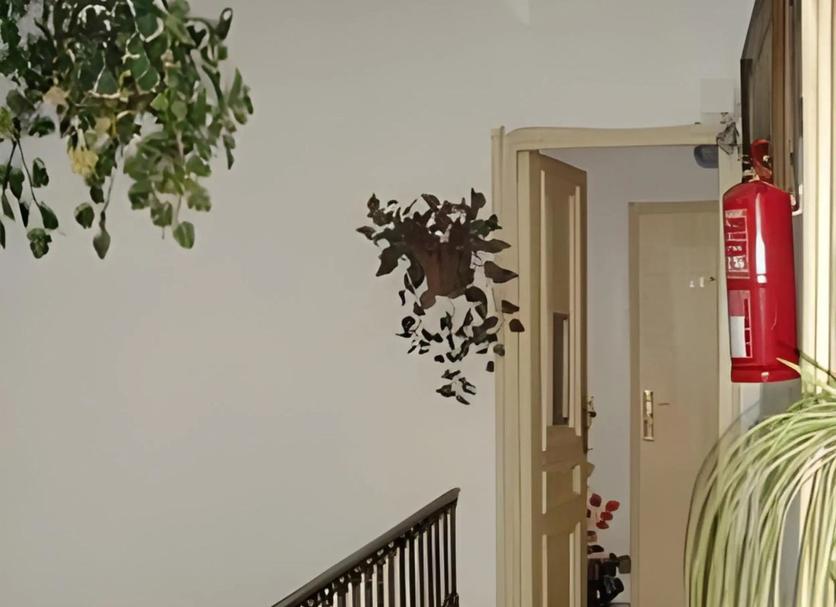 Diğer Fotoğraf
