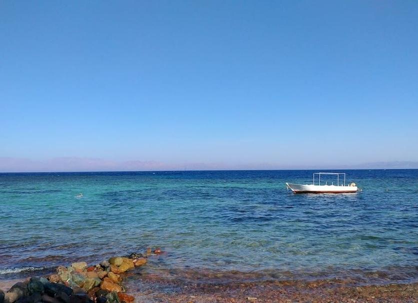 Diğer Fotoğraf