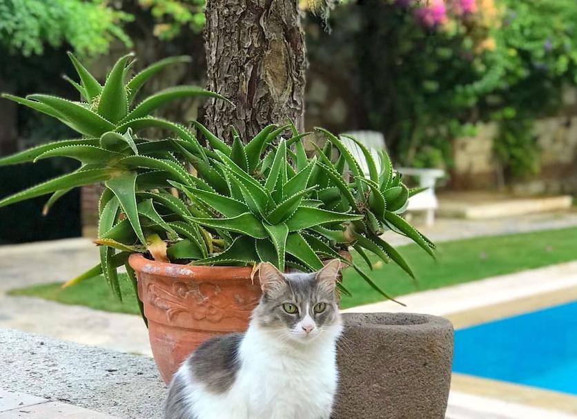 Dış görünüm Fotoğraf