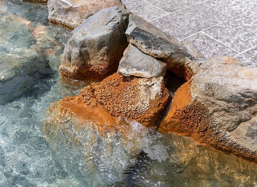 Diğer Fotoğraf