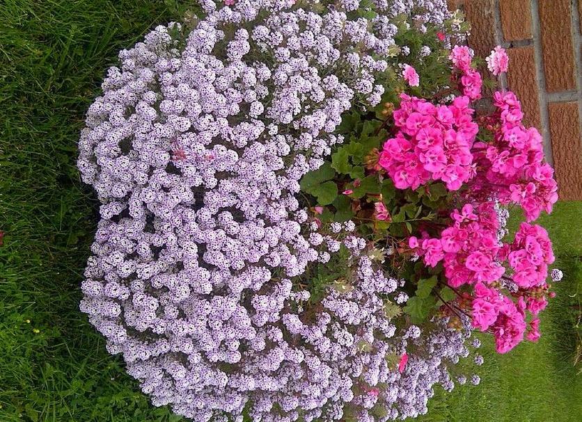 Dış görünüm Fotoğraf