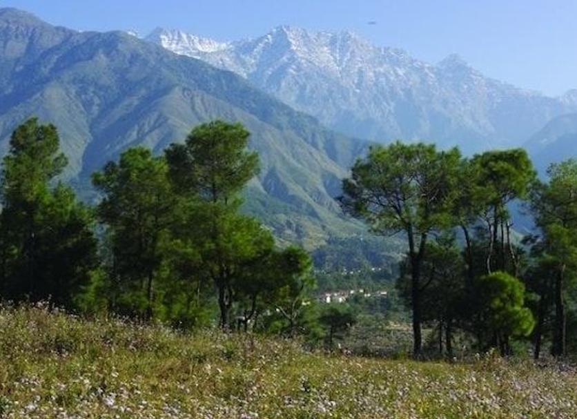 Dış görünüm Fotoğraf