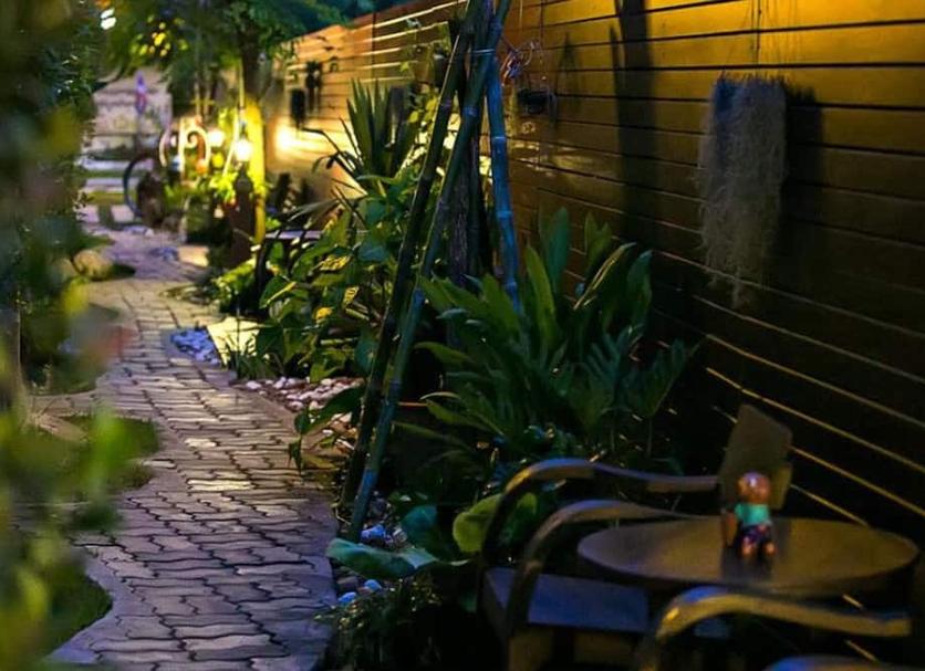 Diğer Fotoğraf