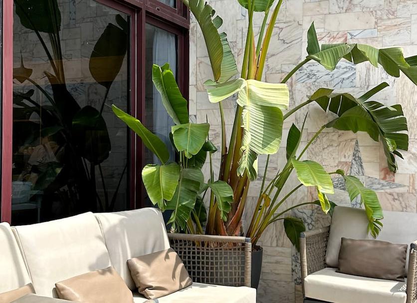 Veranda Fotoğraf