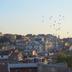 Dış görünüm