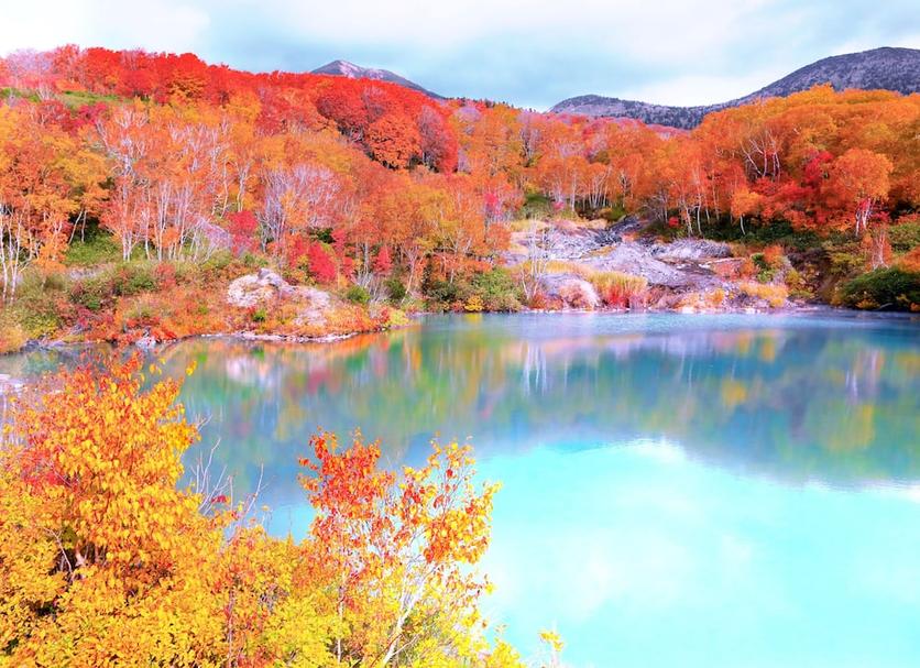 Diğer Fotoğraf
