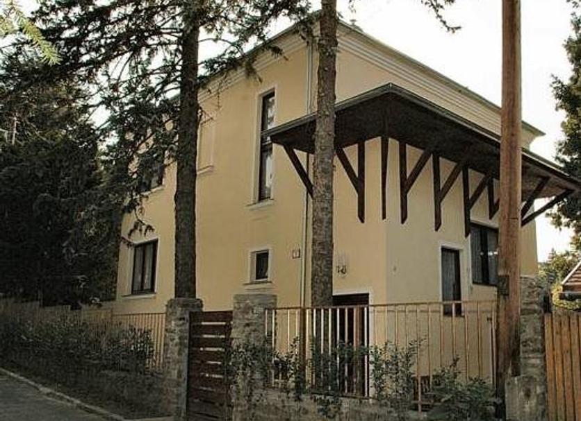 Diğer Fotoğraf