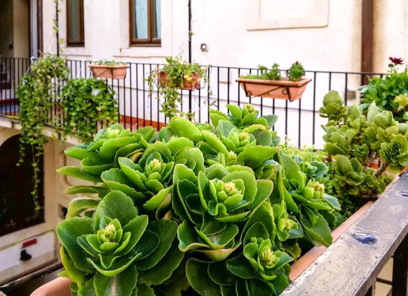 Dış görünüm Fotoğraf